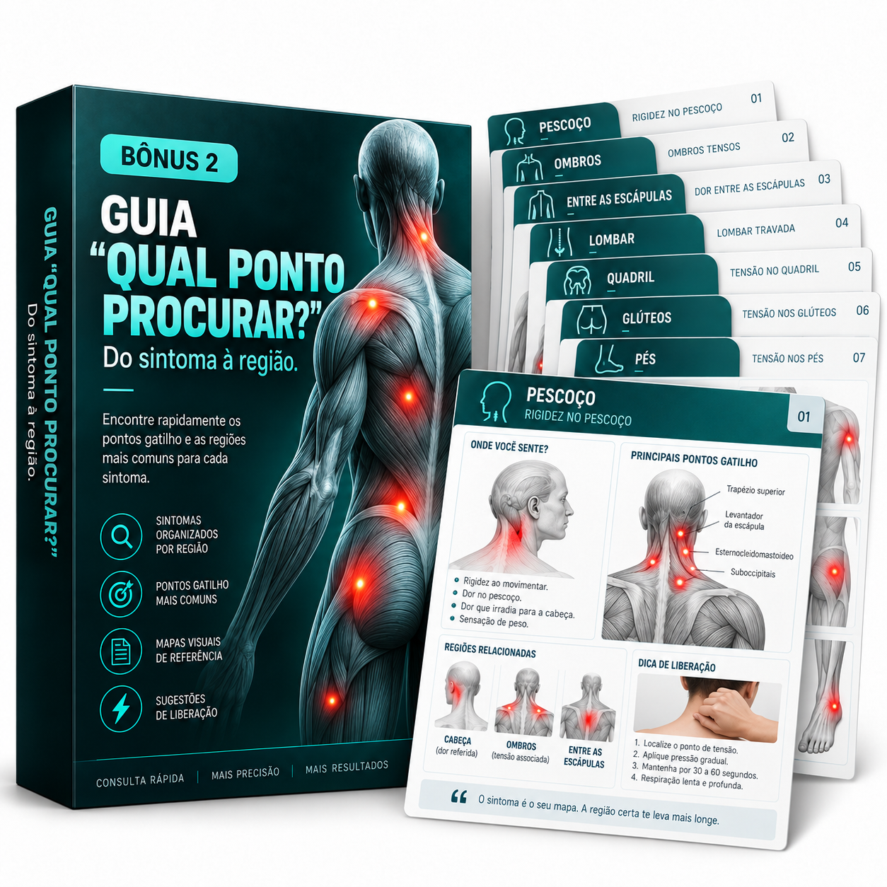 Guia “Qual Ponto Procurar?”