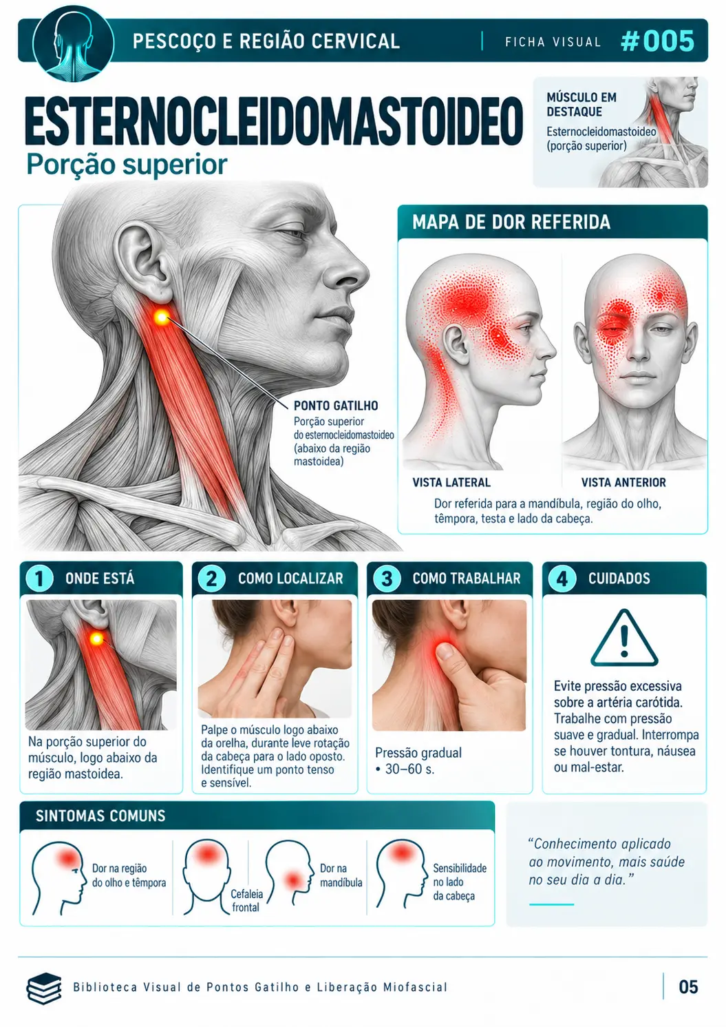 Exemplo de ficha visual de ponto gatilho e liberação miofascial