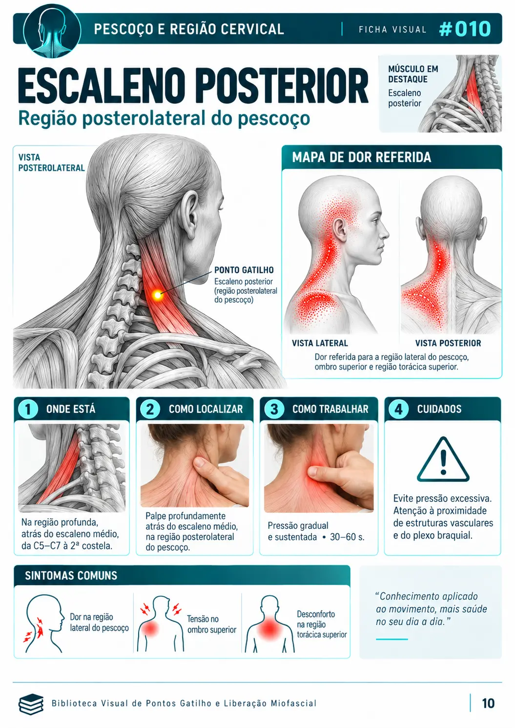 Exemplo de ficha visual de ponto gatilho e liberação miofascial