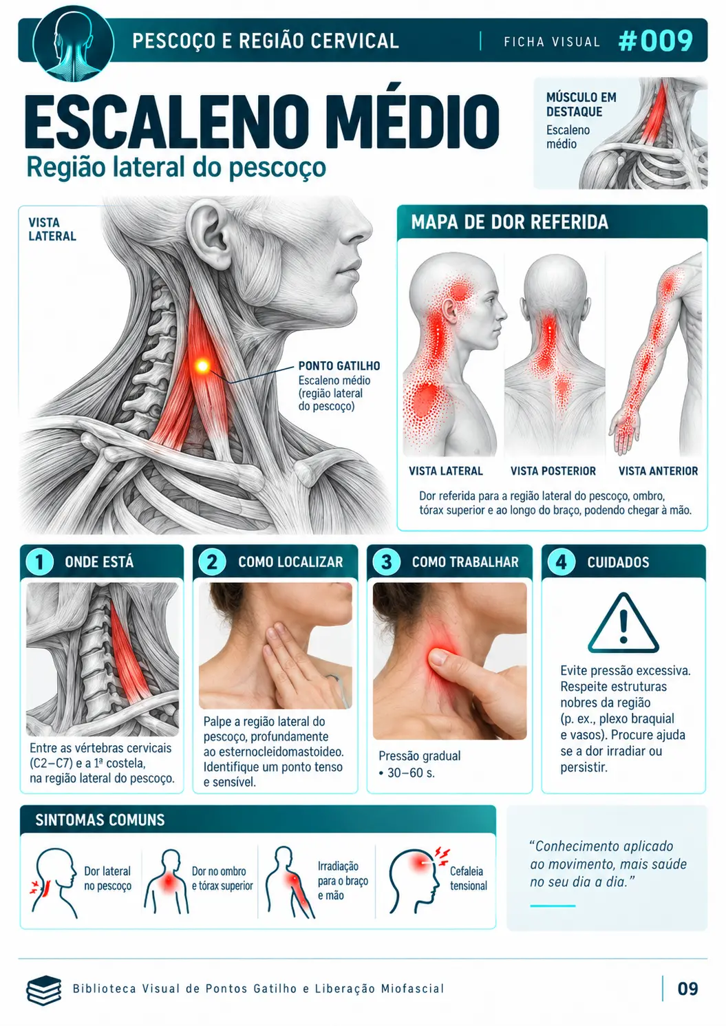 Exemplo de ficha visual de ponto gatilho e liberação miofascial