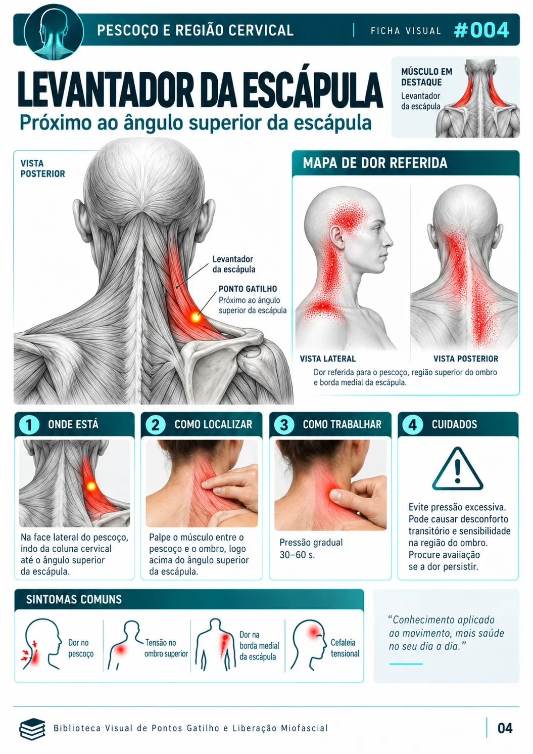 Exemplo de ficha visual de ponto gatilho e liberação miofascial