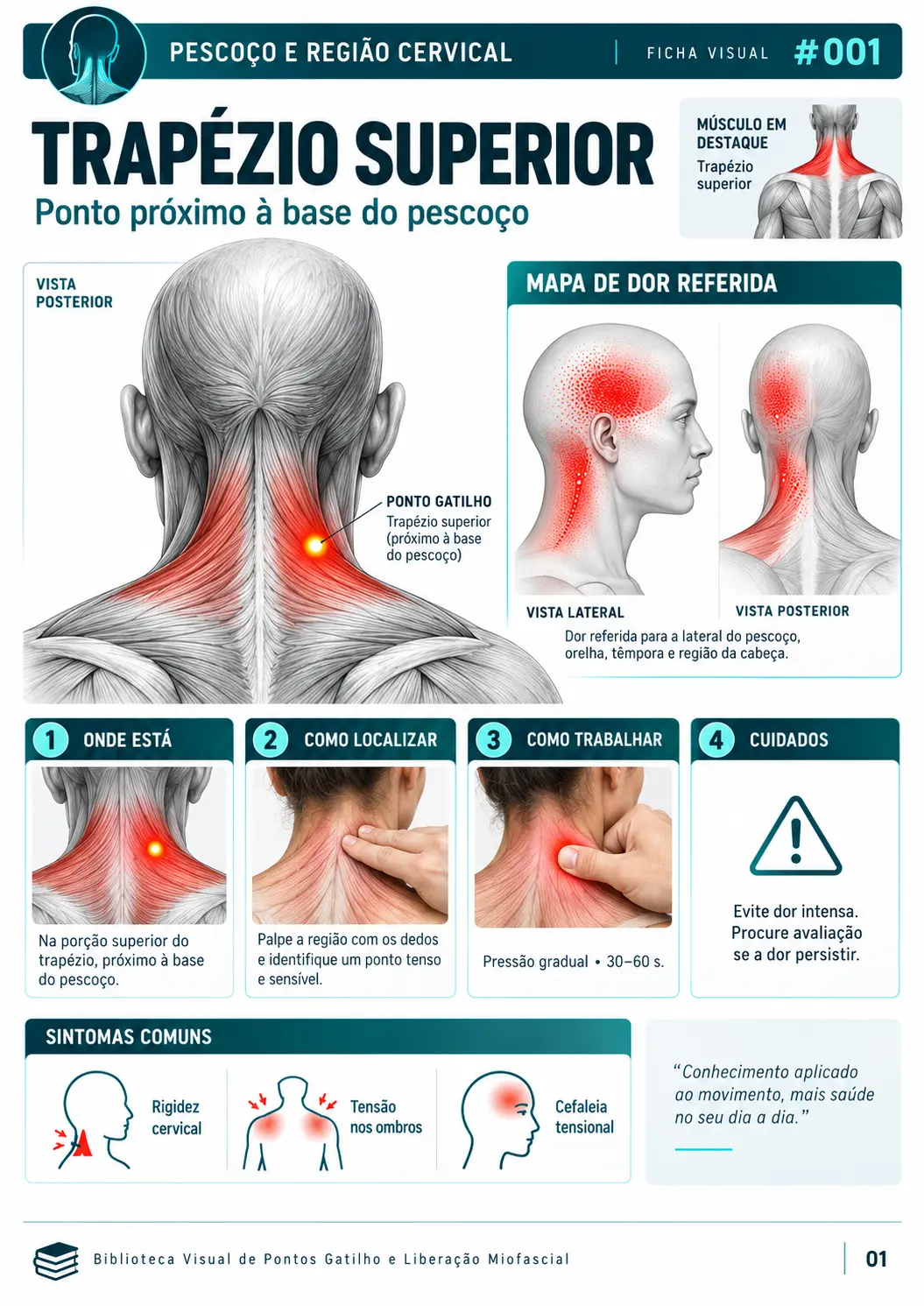 Exemplo de ficha visual de ponto gatilho e liberação miofascial