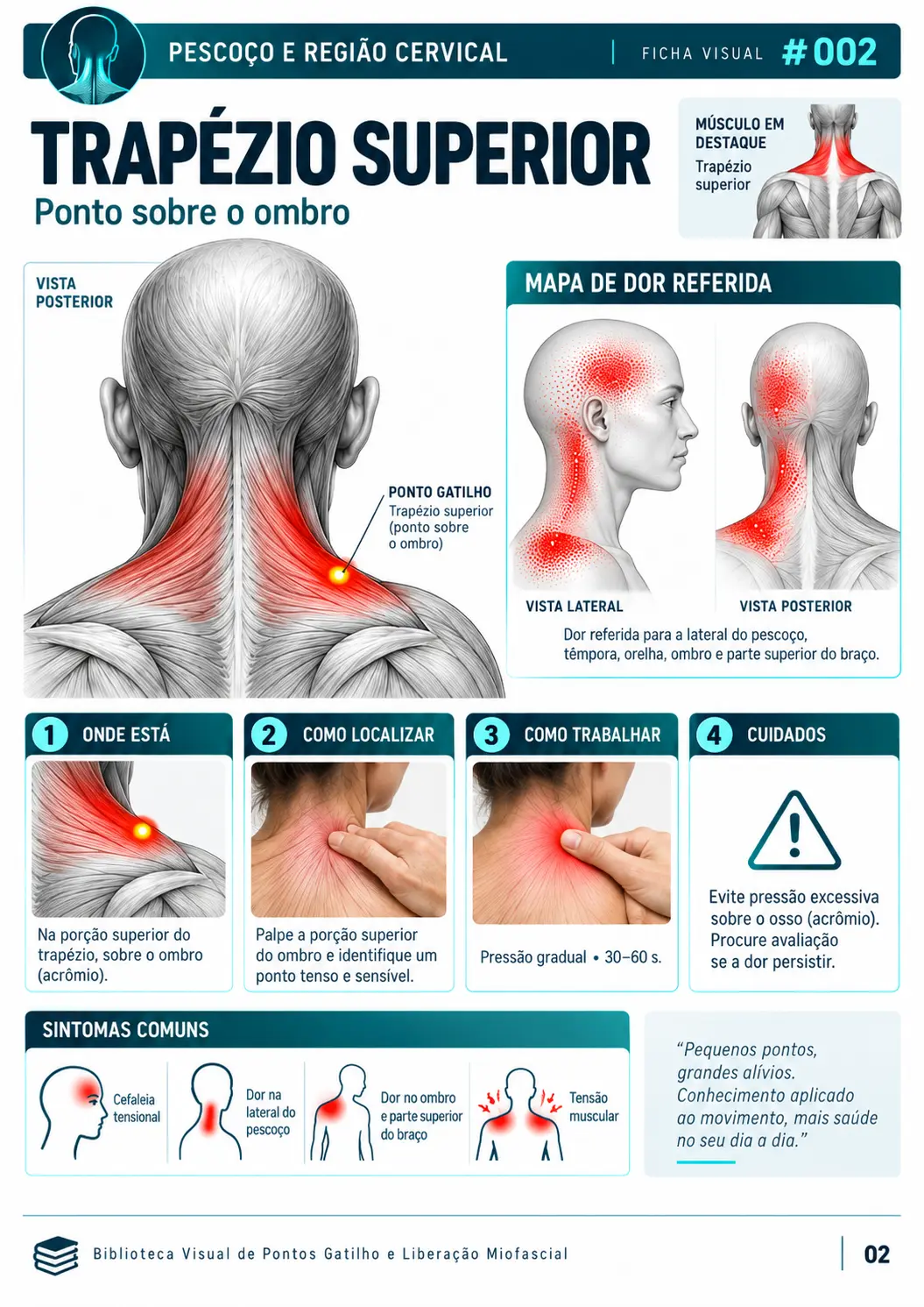 Exemplo de ficha visual de ponto gatilho e liberação miofascial